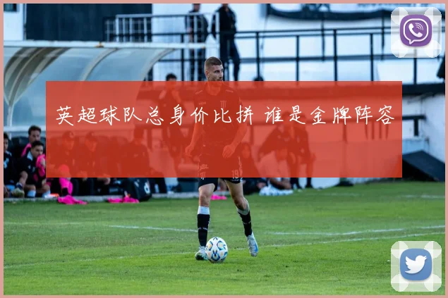 英超球队总身价比拼 谁是金牌阵容