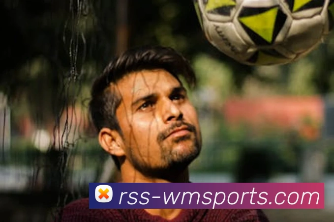 完美体育官网平台生态图