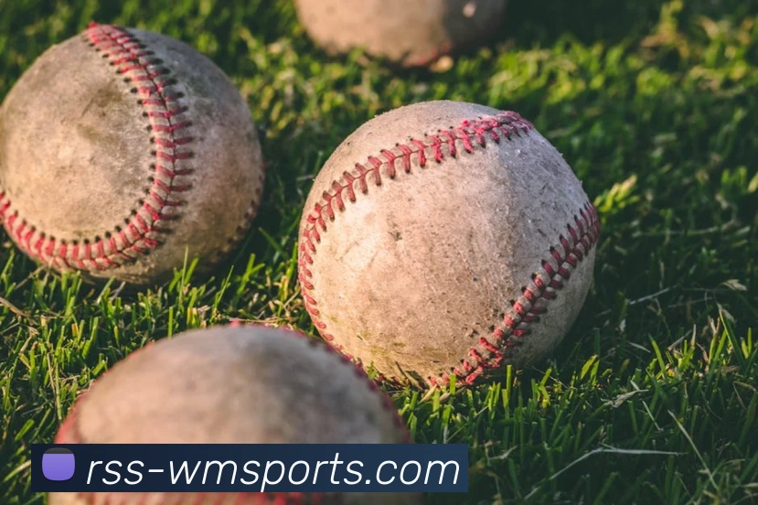 完美体育官网全站App